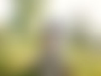 Ambiafro: sustentabilidade com justiça racial no centro do desenvolvimento