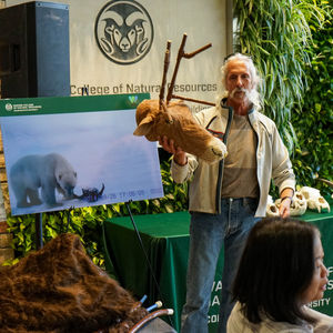 Joel Berger Lunch & Learn