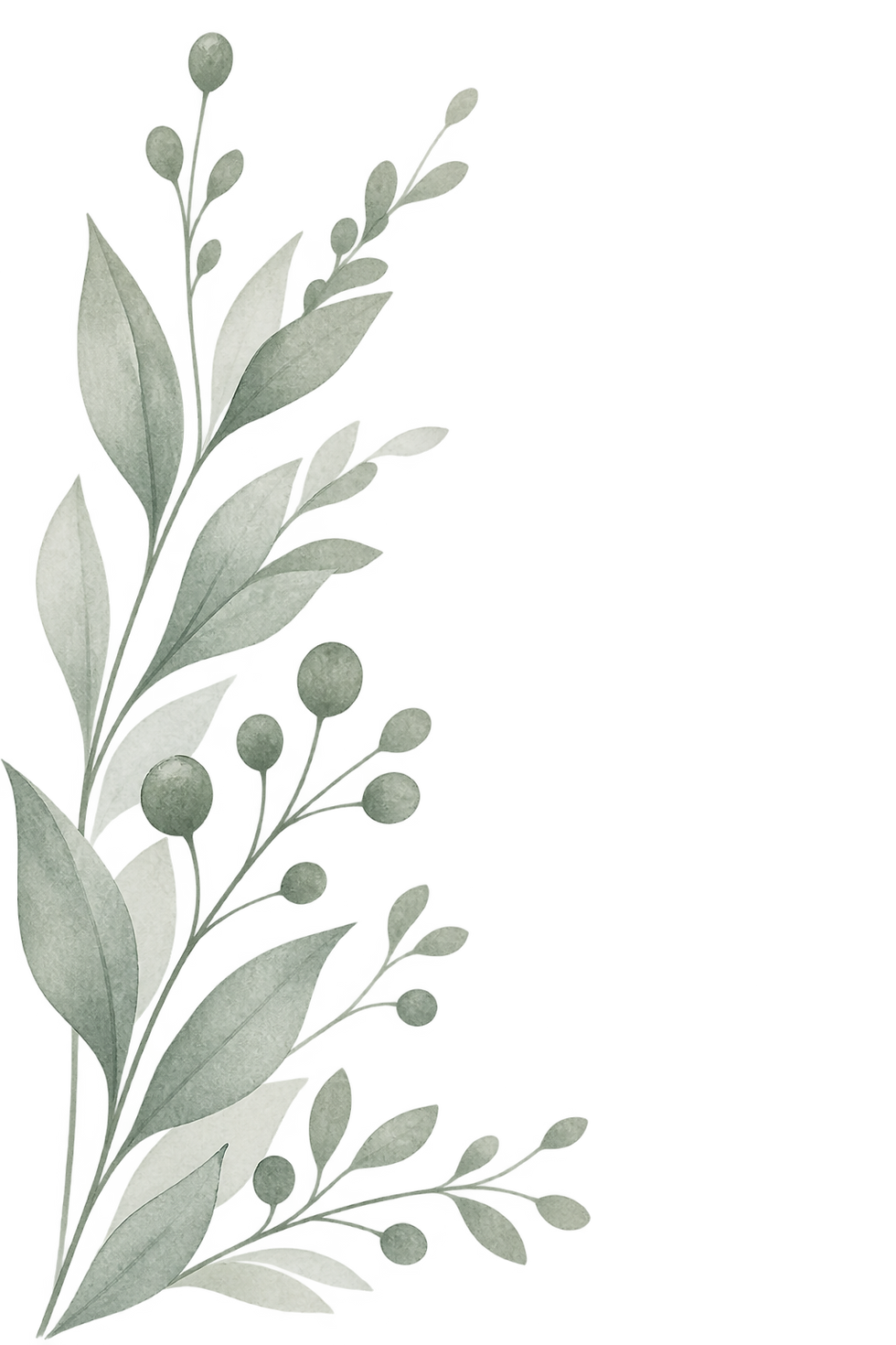 5368146a-241e-4cb3-ae78-a0b25f0c86b1.png