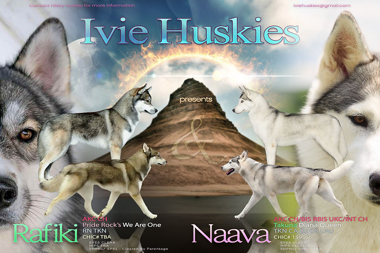 RafikiNaava.jpg