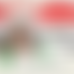 Tarczali Patrícia és Verő Barbara a Future Proof Consulting alapítói