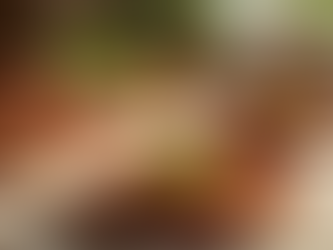 Dieta efectiva y personalizada en WellnessCompass: alcanza tus objetivos