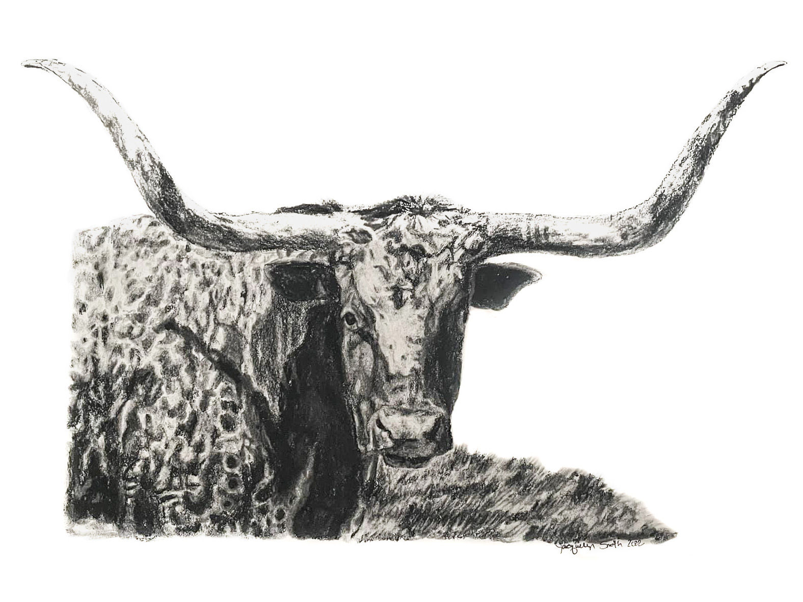 "Longhorn" print 5x7