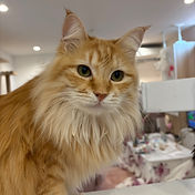 IMG_6156 2_edited.jpg