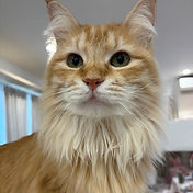 IMG_6156 2_edited.jpg