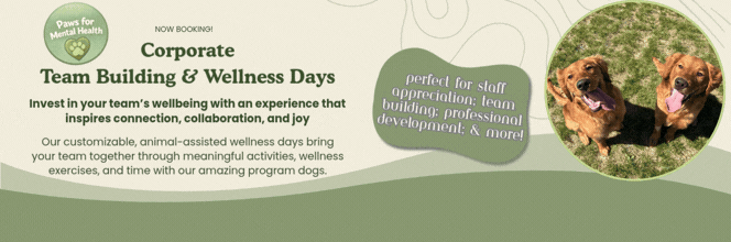 CORPORATE TEAM BUILDING AND WELLNESS DAYS (5).gif