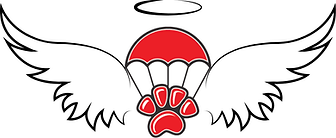 Angel-Team_Logo (1).png