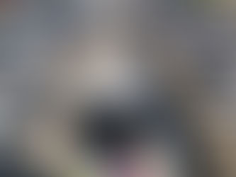 Using Houston's HOV/Express Lanes - Part 1