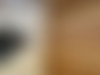 宮城県仙台市泉区2階クローゼットカビ除去