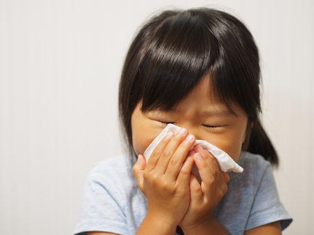 カビ臭くてお困りの皆様へ！仙台市のカビ専門業者がお伝えいたします。