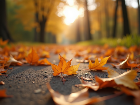 Navigating the Journey of Outgrowing Connections in Our Lives