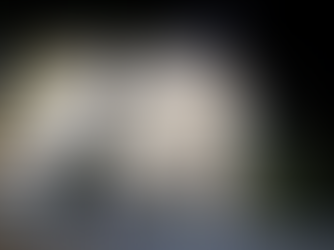 ベビーサンゴ移植 2024/2月分