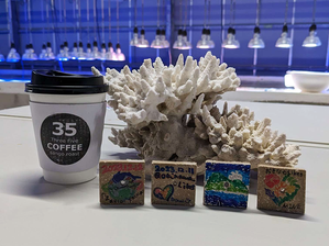 35COFFEE ベビーサンゴ養殖場見学ツアー