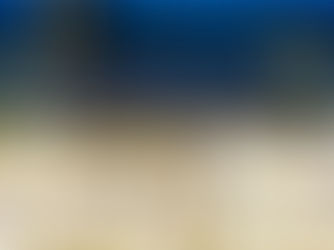 ベビーサンゴ移植 2020/10月分