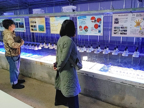 35COFFEE ベビーサンゴ養殖場見学ツアー