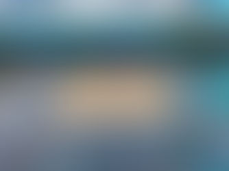 ベビーサンゴ移植 2021/11月分