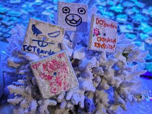 35COFFEE ベビーサンゴ養殖場見学ツアー