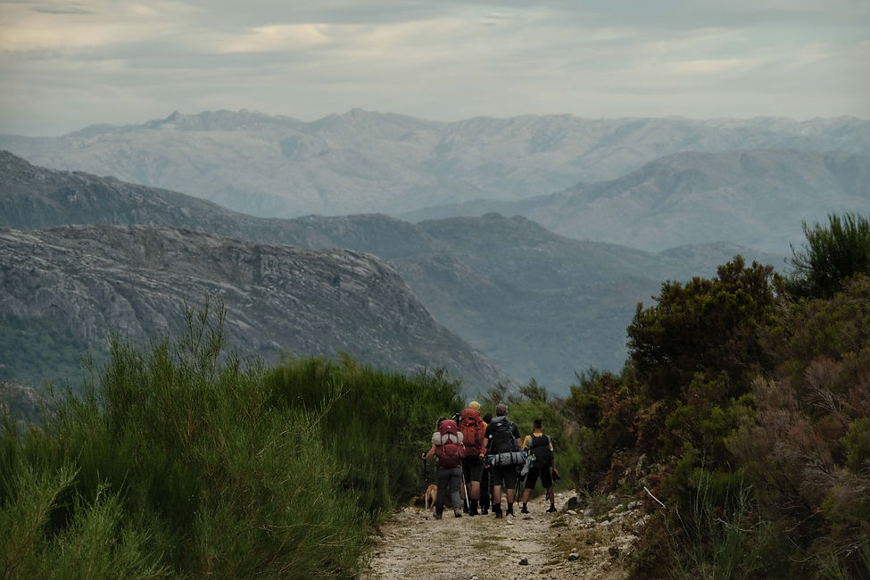 54824015224_59133b7102_o 2.jpeg