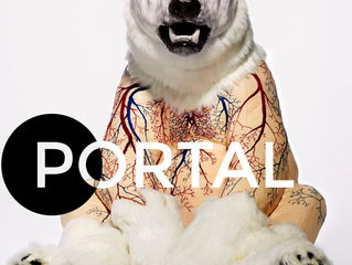 Portal Soho 2017