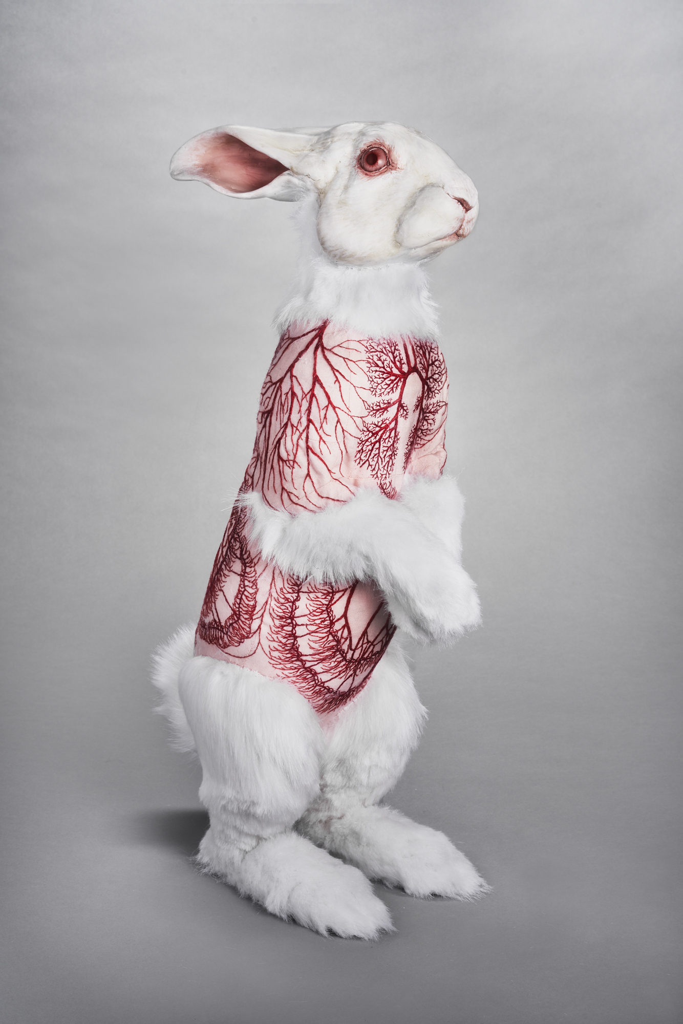 Flayed Rabbit: Albino