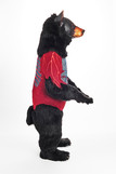 Ursus americanus: Standing