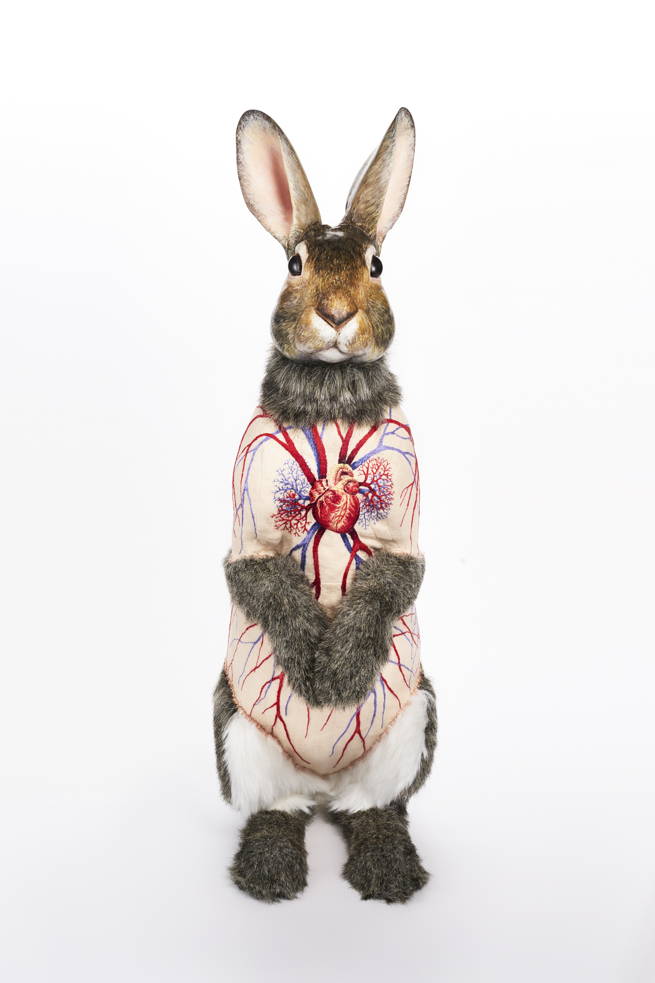 Flayed Rabbit: Cottontail
