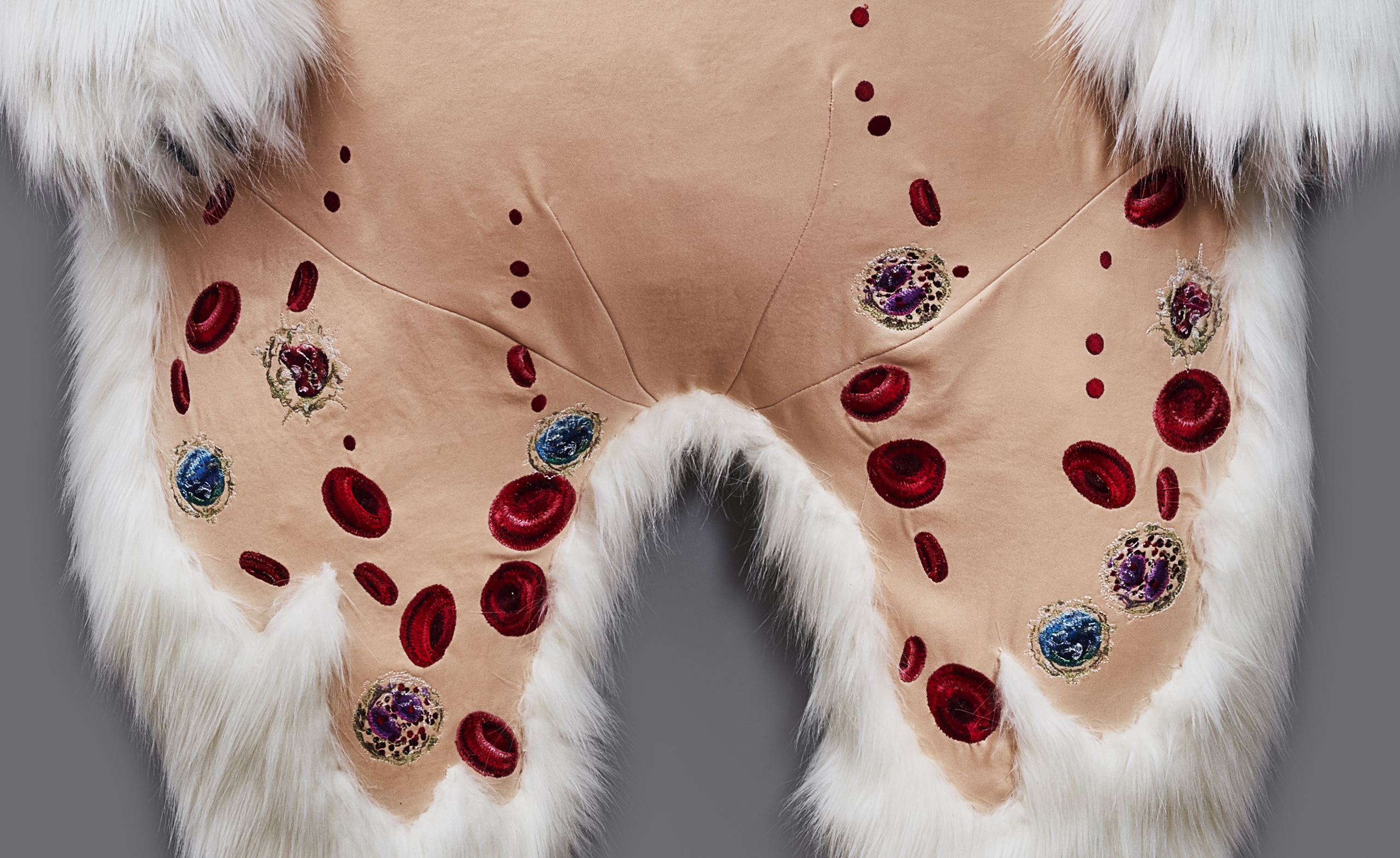 Ursus maritimus Skin: Blood Cells