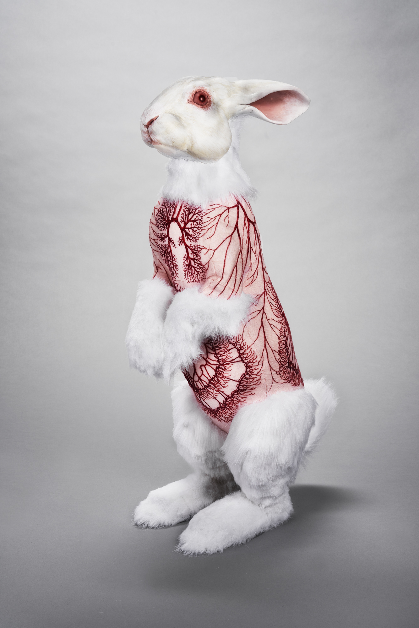 Flayed Rabbit, maquette