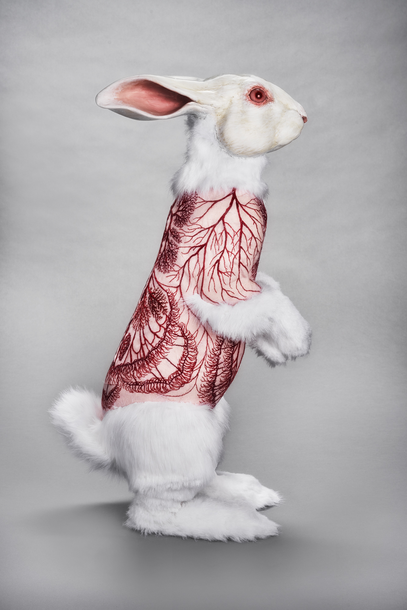 Flayed Rabbit: Albino