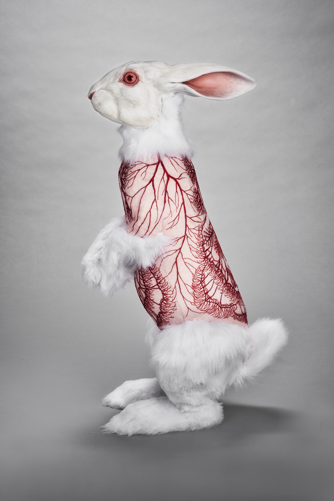 Flayed Rabbit: Cottontail