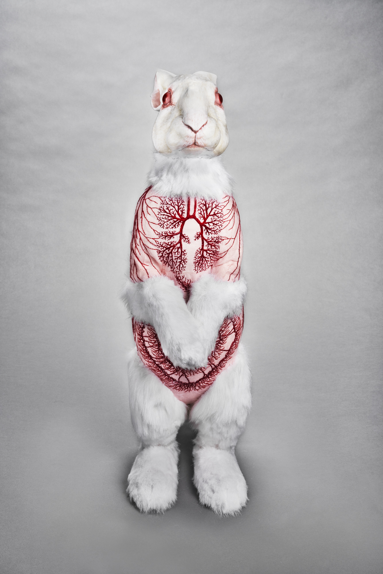 Flayed Rabbit: Albino