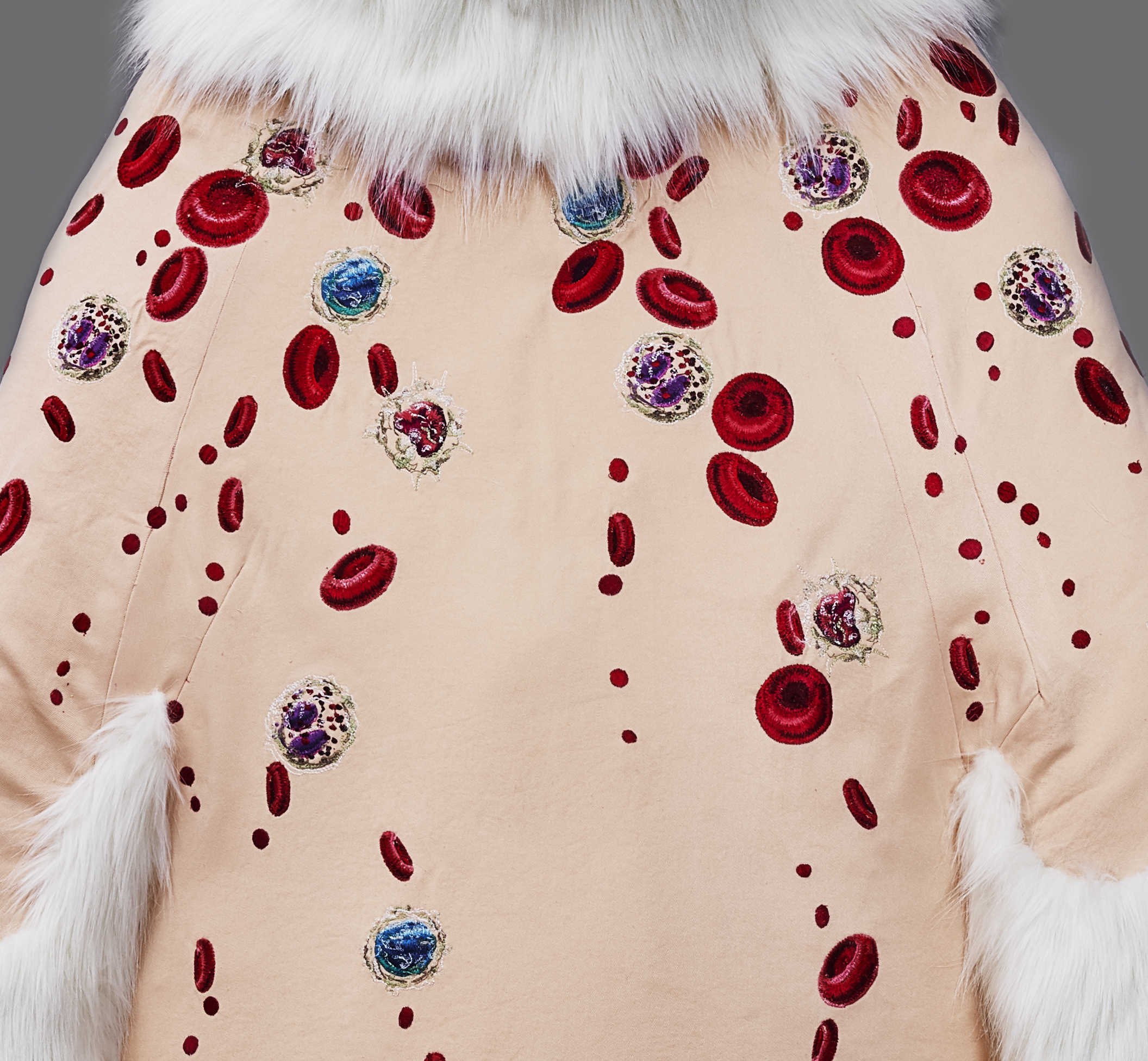 Ursus maritimus Skin: Blood Cells