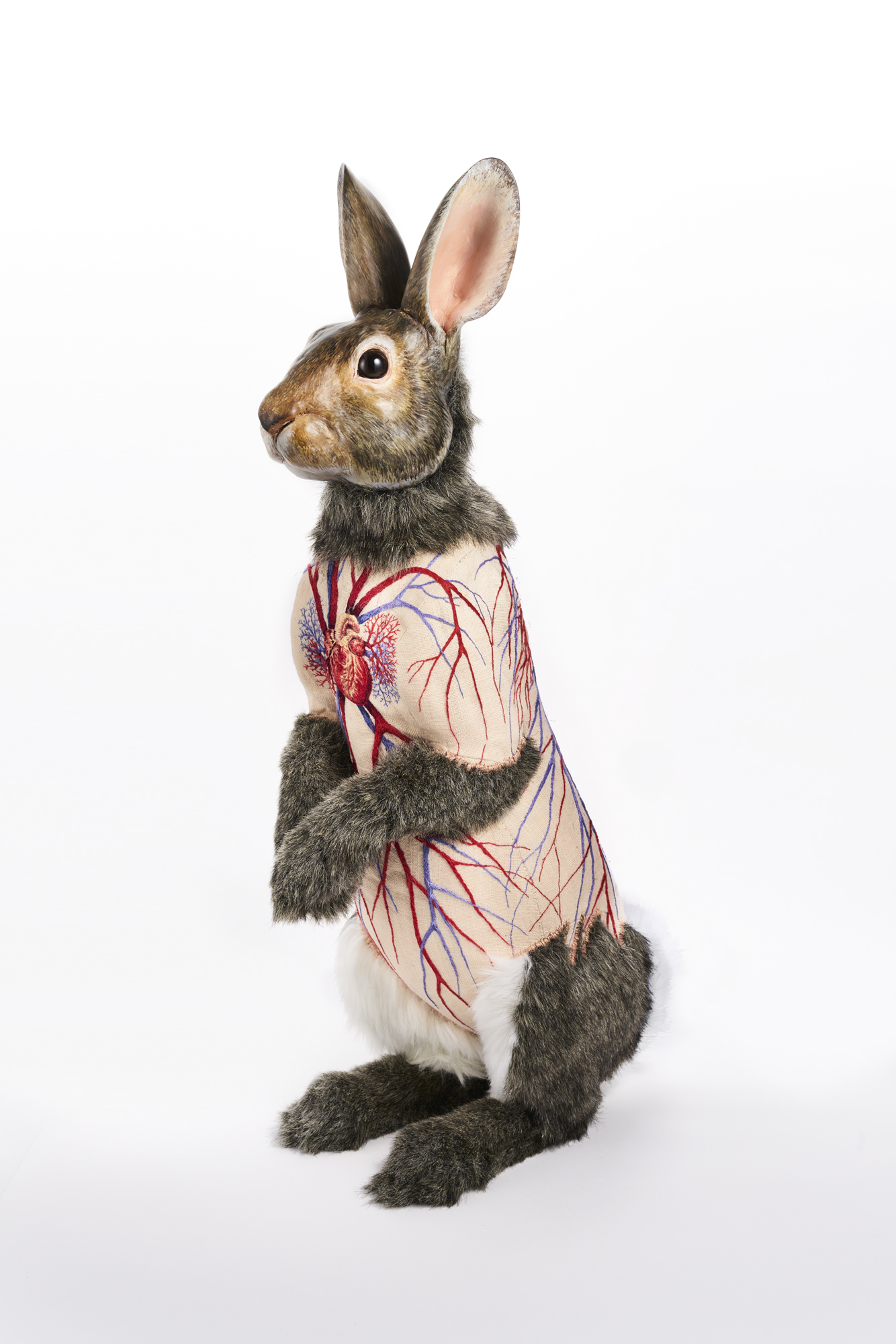 Flayed Rabbit: Cottontail