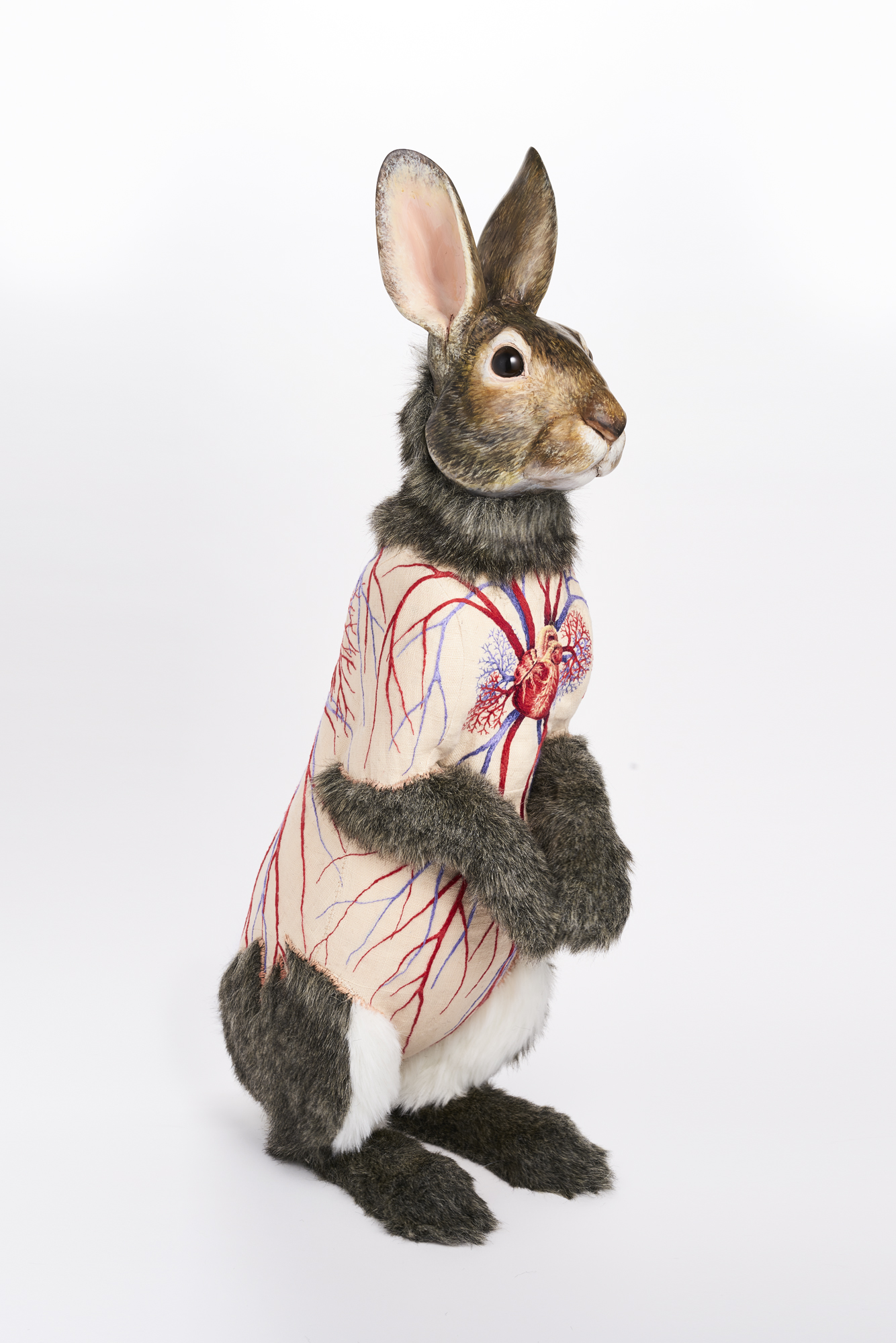 Flayed Rabbit: Cottontail