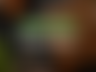 Chicken and Pepper Kabobs