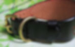 Welsh Dragon whippet greyhound Collar by Pittswood leathercraft (5)