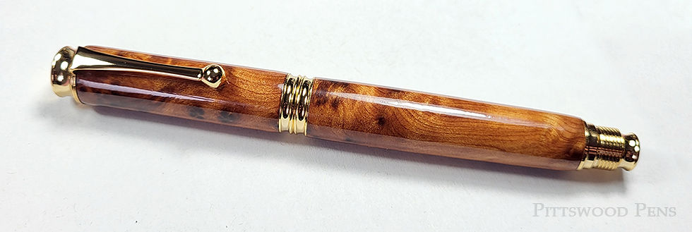 Thuya Burl Cynon fountain Pen in Gold