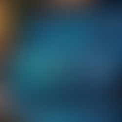 Unlocking Growth with Small Business Data Insights