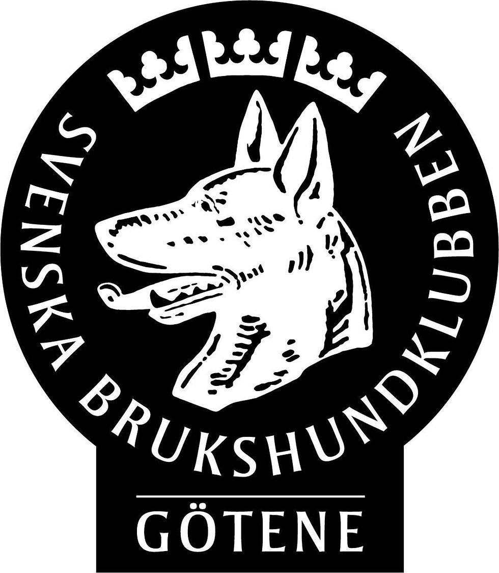 🌟Nyhet- öppen träning med klubbvärd!🌟