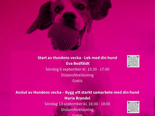 Hundens Vecka