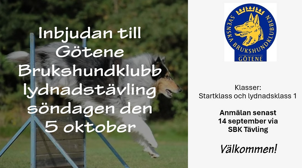 Lydnadstävling