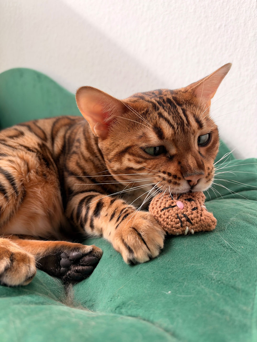 Miniaturbild: Katzenspielzeug >Mrs. Meow< - gestreift