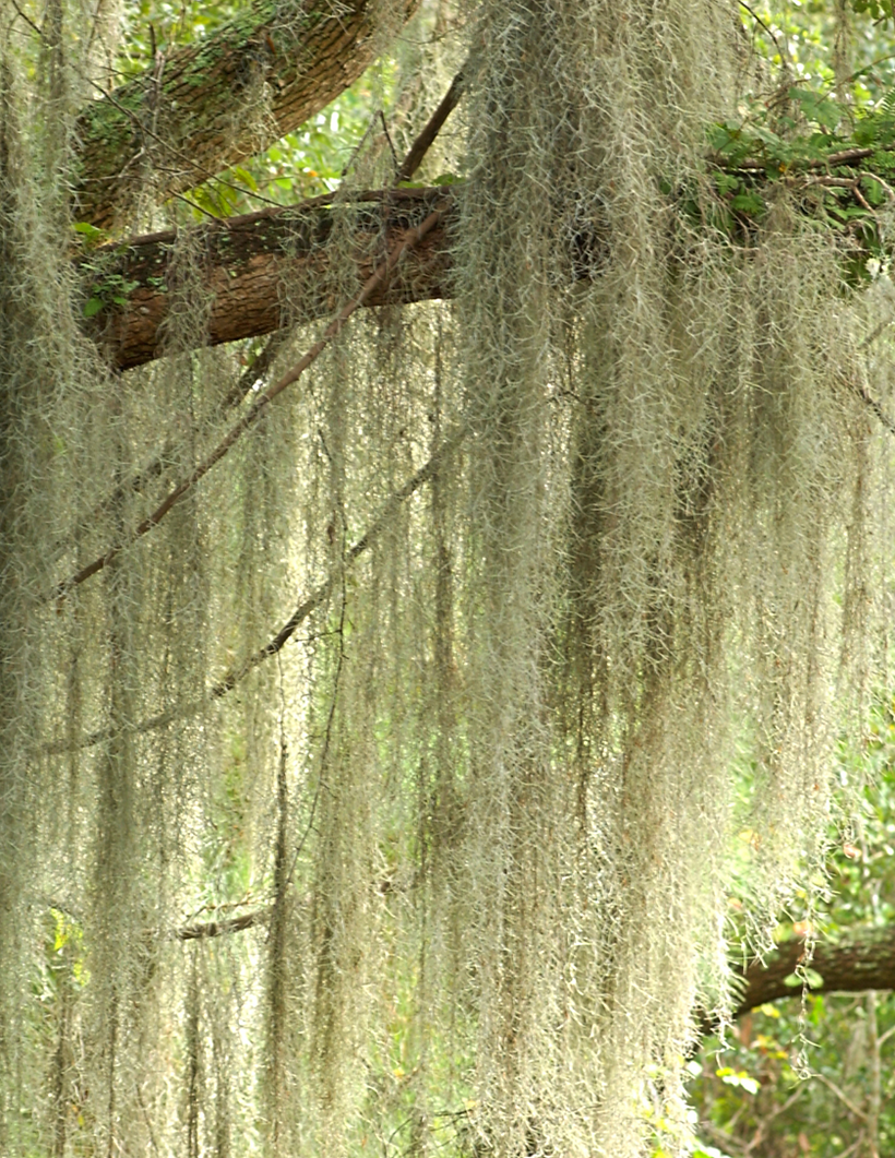 Untitled design-2.png