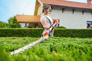 AdobeStock_487213014.jpeg