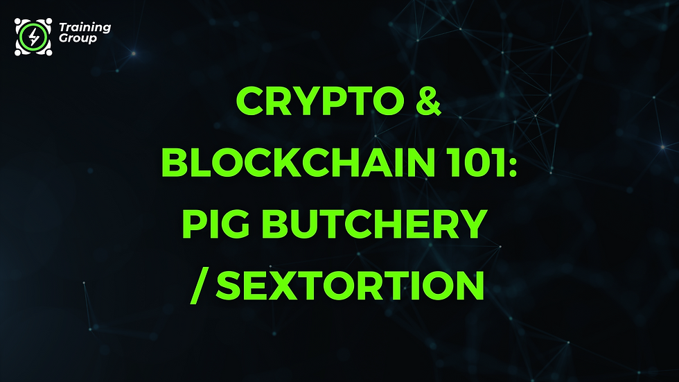 Crypto & Blockchain 101: Pig Butchery / Sextortion