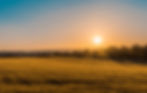 Sugar, Cravings & The Importance of Balancing Your Blood Sugar For Energy - Sunny Day