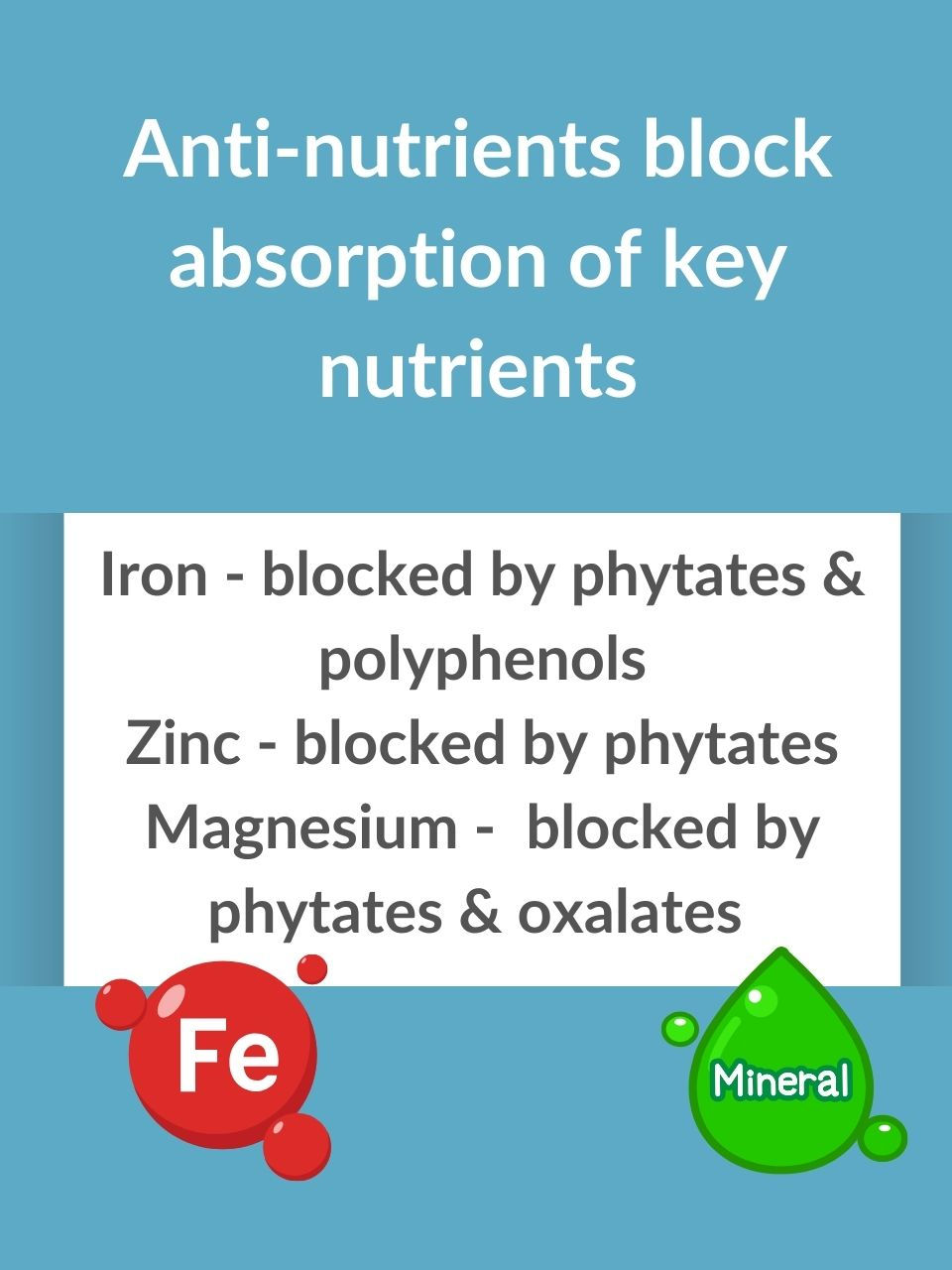 Text about anti-nutrients blocking iron, zinc, and magnesium absorption on a blue background. Includes red "Fe" and green "Mineral" icons.