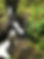 sutherlands grove.jpeg