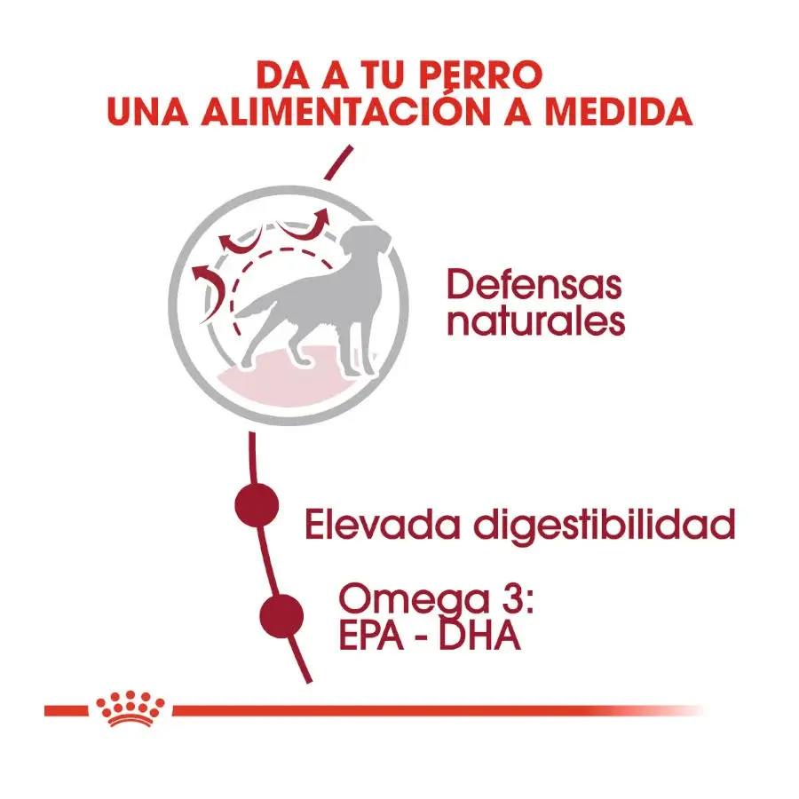 Miniatura: ROYAL CANIN ADULT MEDIUM