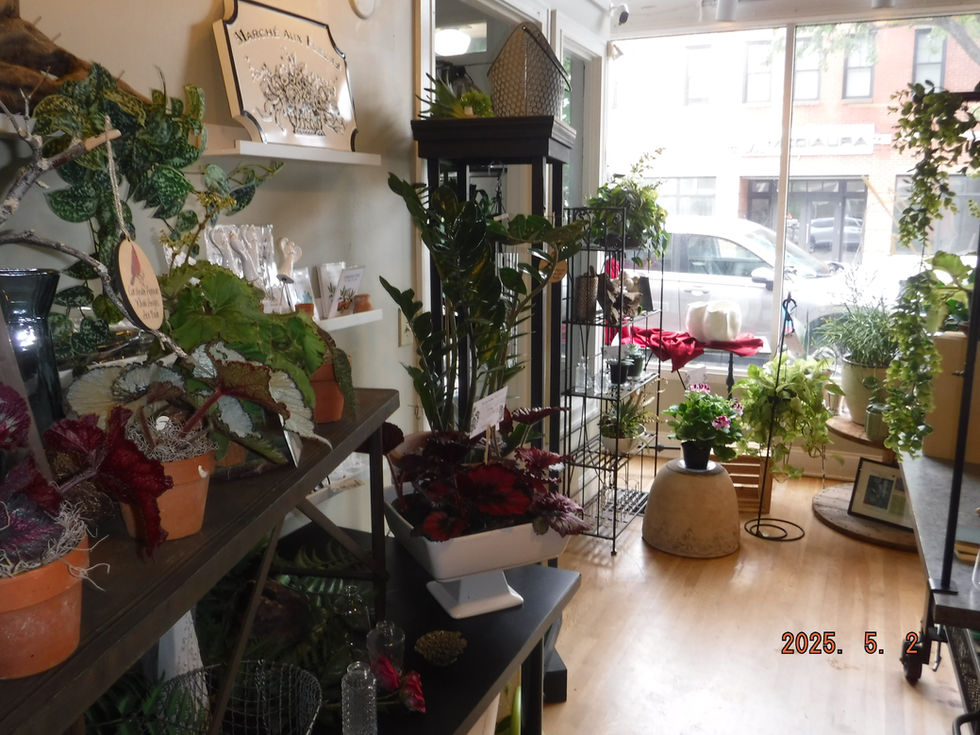 DSCF3203.JPG
